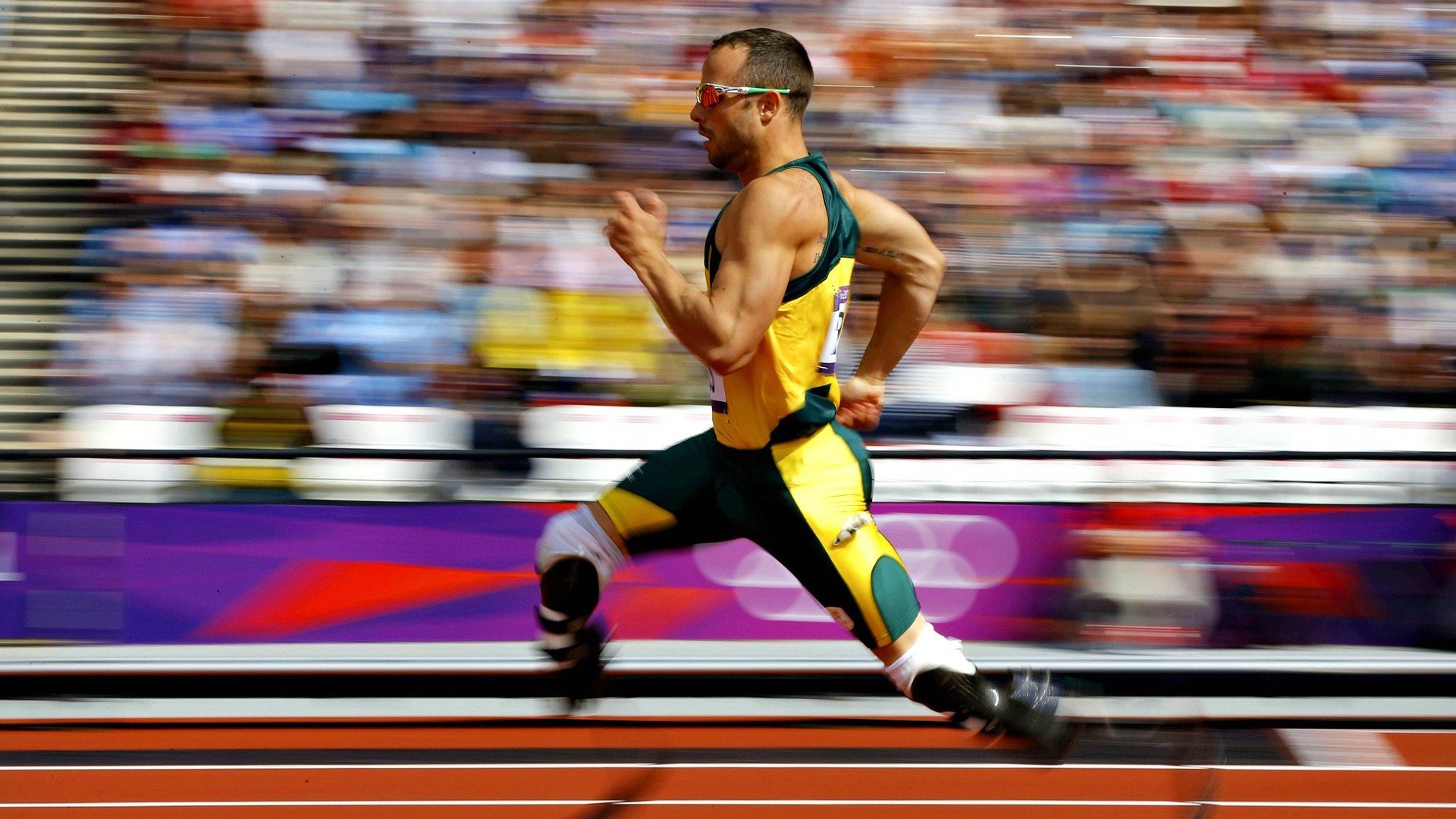 蝶泳名将张雨菲再创佳绩 国际泳联世锦赛摘金破纪录